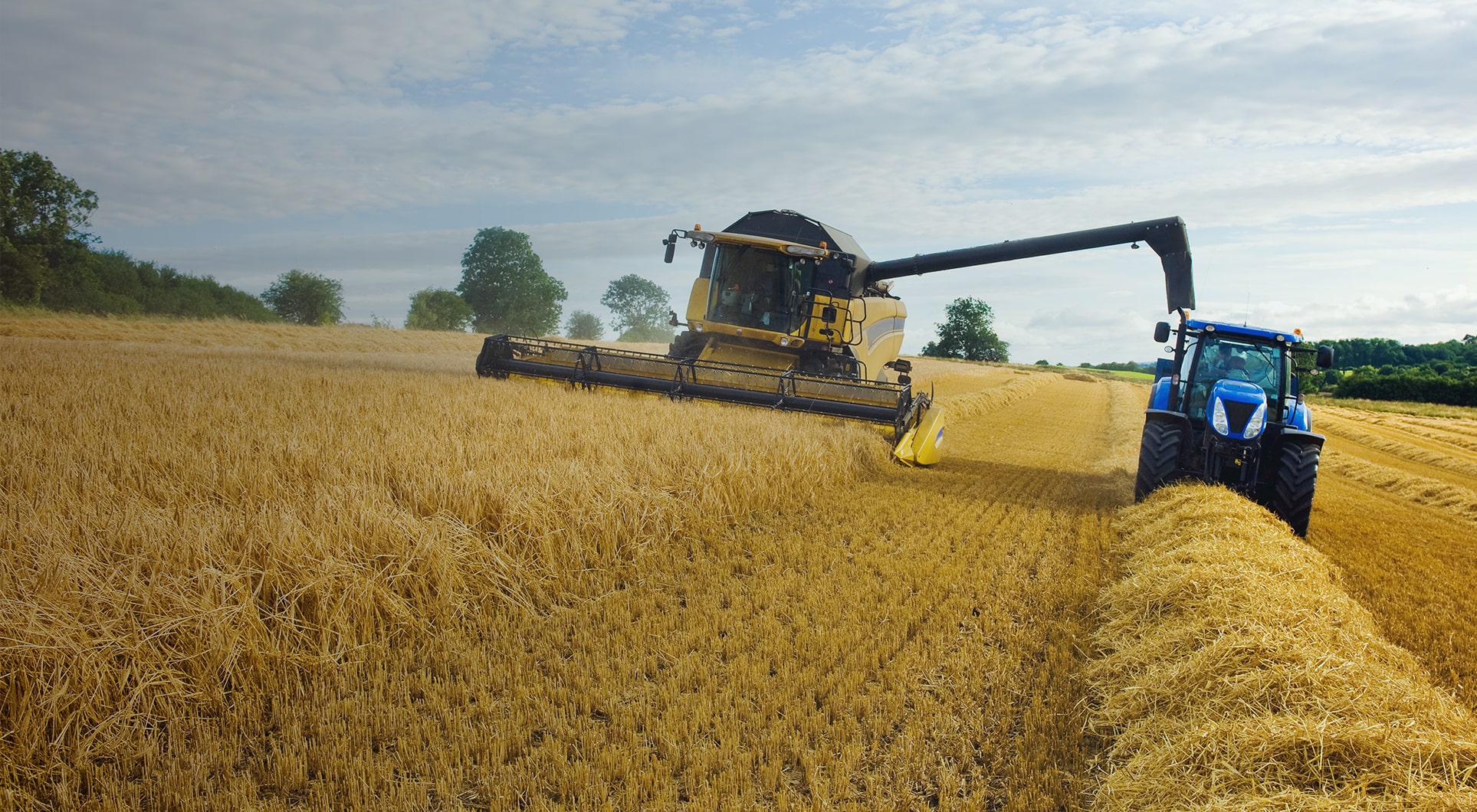 Farm Management Ceres Rural