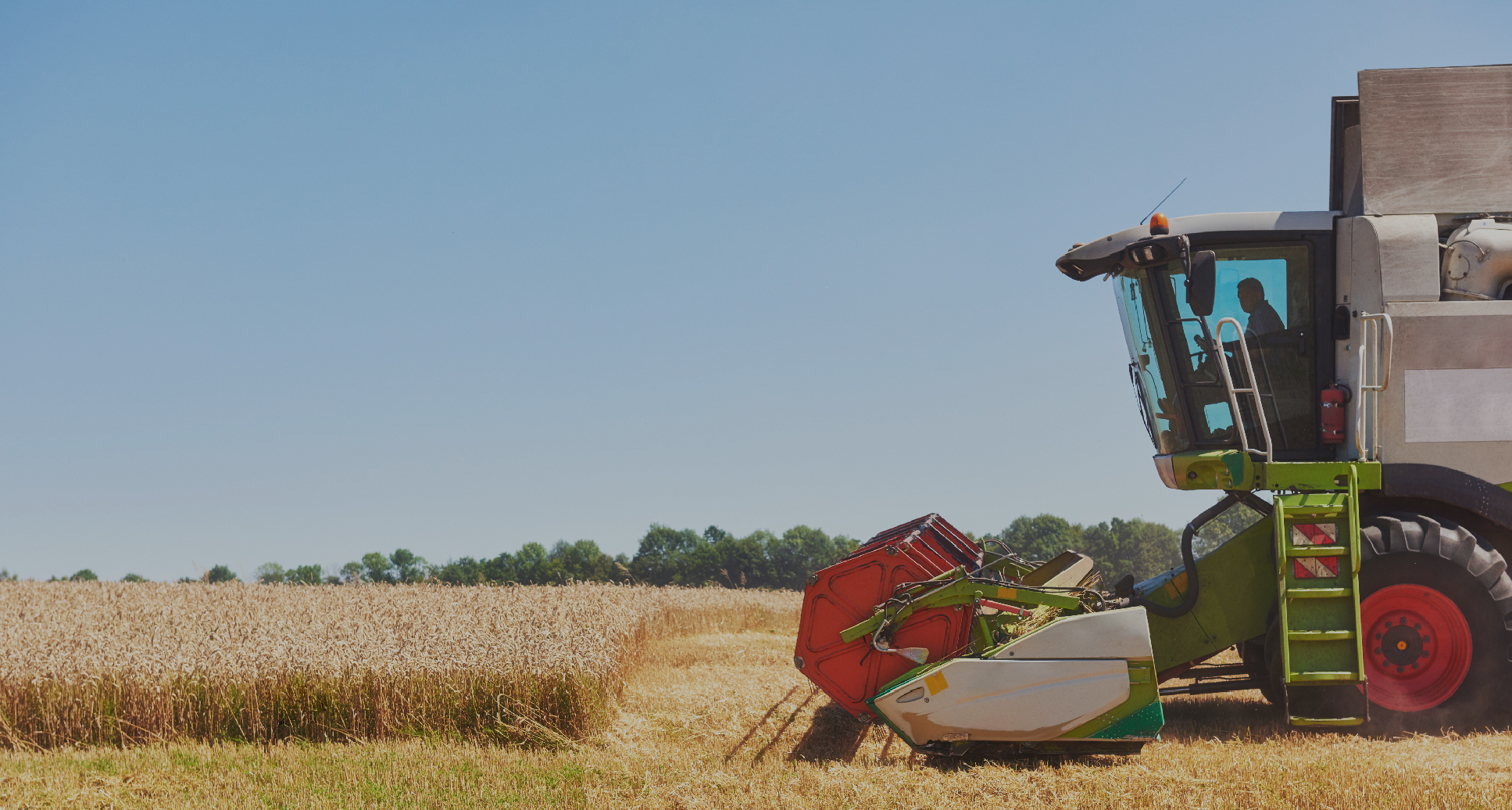 DEFRA-FUNDED FARM BUSINESS ADVICE TO BE PROVIDED BY CERES RURAL - Ceres ...