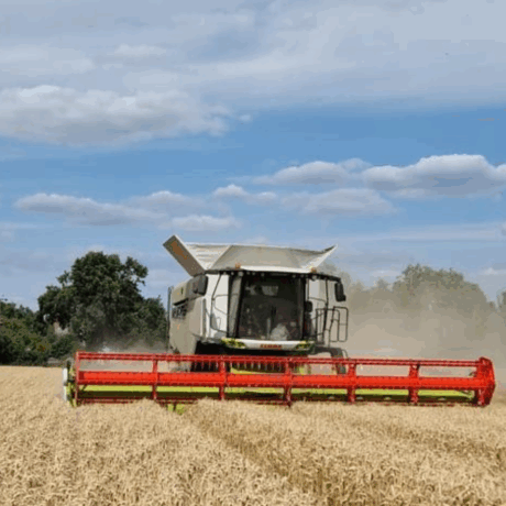 harvest health and safety field