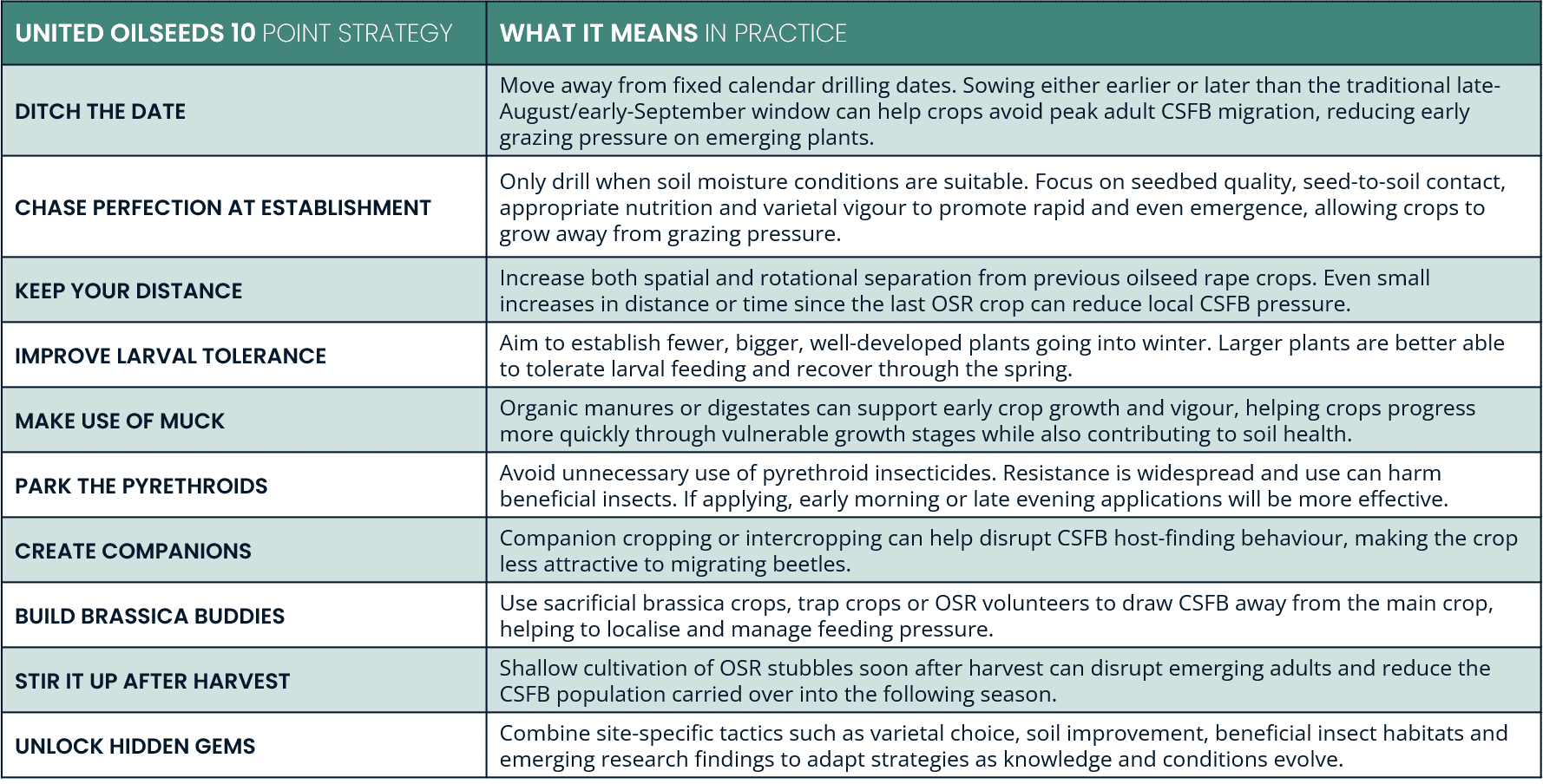 Image of United Oilseeds 10 Point Strategy table