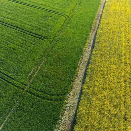 SFI 2026 environmental farming options on arable land explained by Ceres Rural
