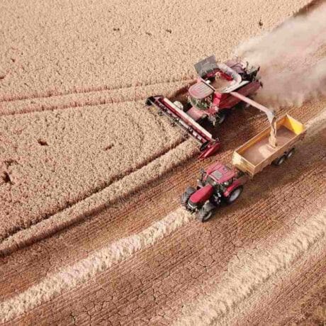 Image of a combine and grain cart during harvest