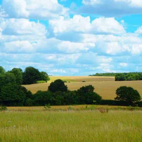Image of countryside views