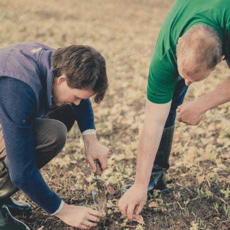 Image of colleague and client looking at crop in field