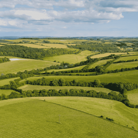 Ariel shot of farmland