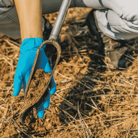 Image of soil sampling