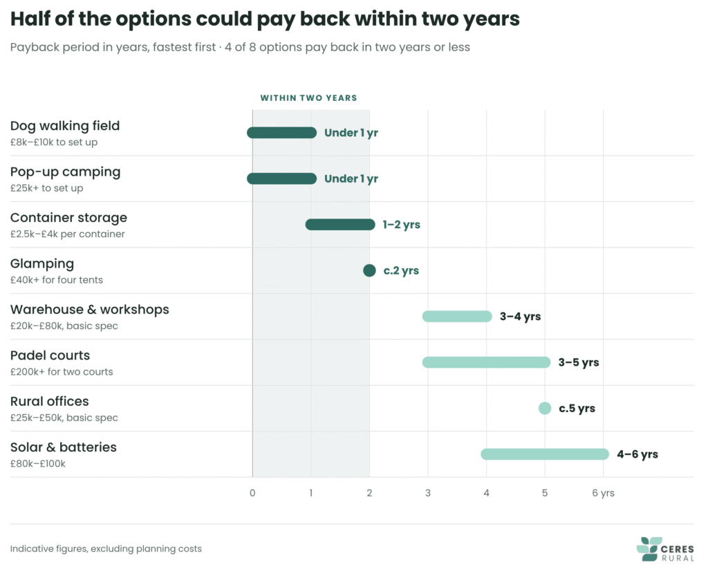 Graph showing how half of the diverisication options could pay back within two years